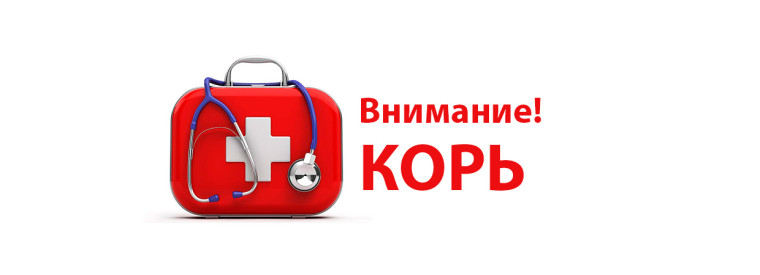 ВНИМАНИЮ НАСЕЛЕНИЯ: Профилактика кори.